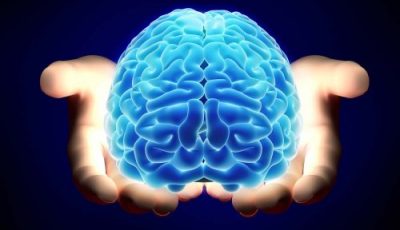 لن تتخيل ما سوف يحدث لجسمك.. طعام بسيط موجود في كل بيت يغذي المخ ويحسن بنية الدماغ ويقوي الذاكرة “!