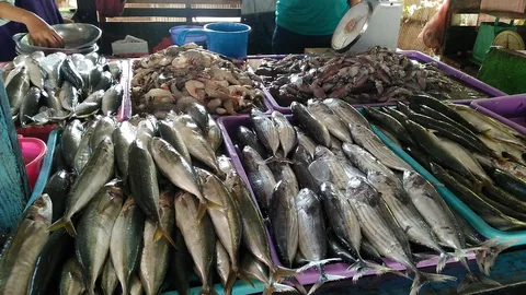 سعر السمك اليوم السبت 2026 في الأسواق المحلية والمزارع السمكية