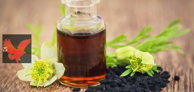 هتخلي شعرك حرير وناعم بأقل التكاليف.. وصفة زيوت طبيعية لتكثيف الشعر “وصفات بسيطة وسحرية وموجودة في بيتك”