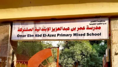 إستعدادات مكثفة لاستقبال انتخابات مجلس النواب بمدينة الأقصر.. وحملات نظافة ورفع إشغالات بمحيط اللجان