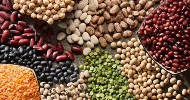 أسعار الفول البلدي والبقوليات في كفر الشيخ الجمعة 21 نوفمبر 2025: تحديث مهم للمزارعين والمستهلكين