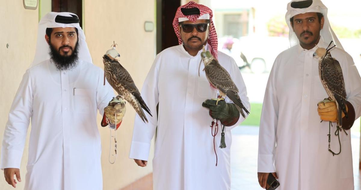 غداً اختتام التسجيل لبطولة كتارا الثانية للصقور والصيد — منافسات مرتقبة