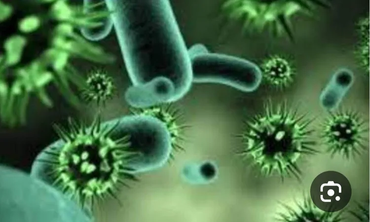 الصين تقدم 3.5 مليون دولار لدعم مكافحة فيروس الإيدز في جنوب إفريقيا