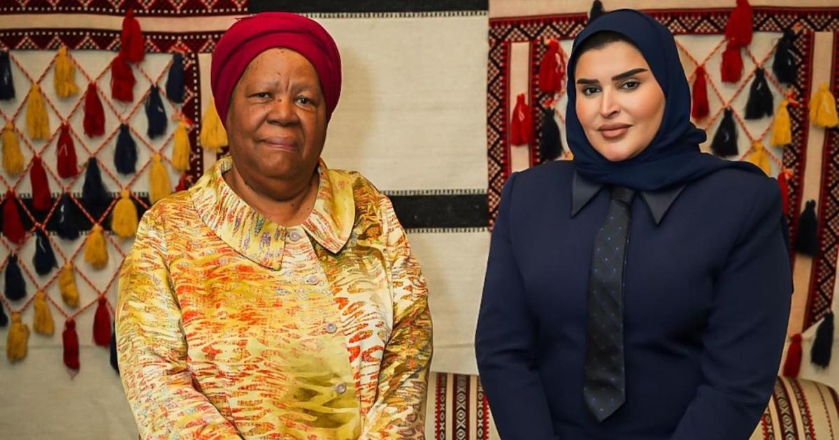 وزير الدولة للتعاون الدولي يعقد اجتماعاً حاسماً مع رئيس مجلس أمناء “نيلسون مانديلا” لتعزيز التعاون الدولي