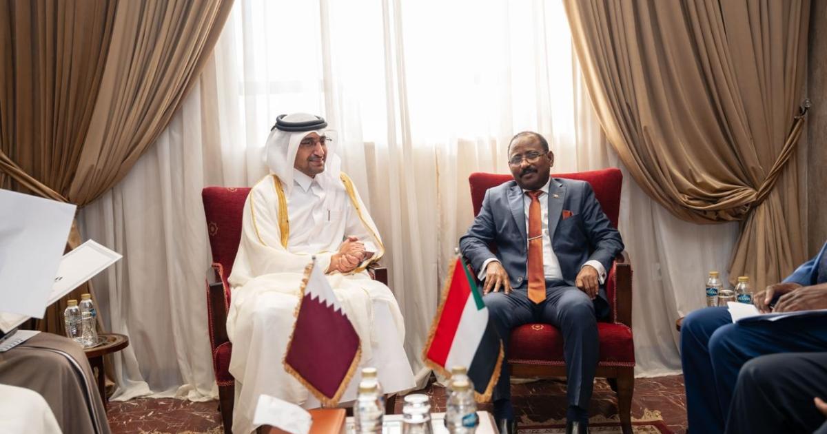 وزير العدل يستعرض مع نظرائه في مصر والسودان وسوريا علاقات التعاون القانوني