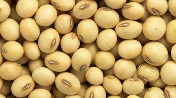 عقود فول الصويا تهبط مع ترقب الأسواق لأهداف استيراد الصين