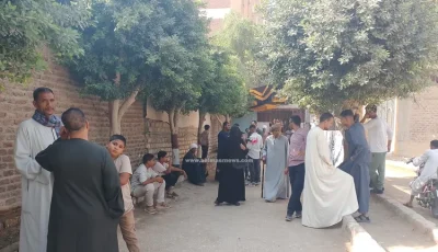 رغم كبر السن.. زوجان يضربان أروع الأمثلة في الواجب الوطني ويتحديان العمر للإدلاء بصوتهما في انتخابات النواب بسوهاج