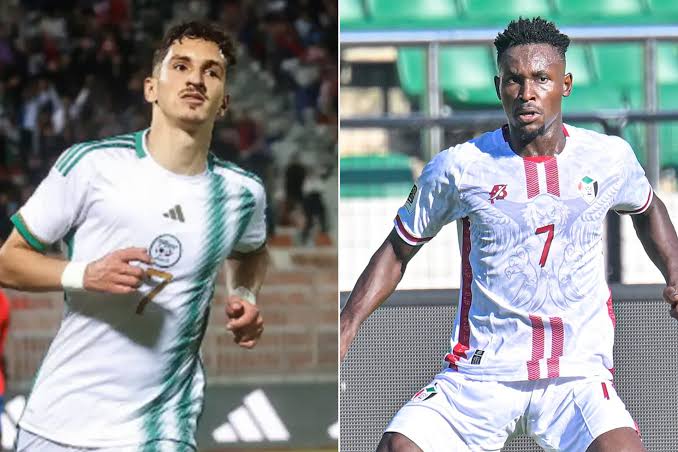 مجاناً.. تردد قناة الجزائرية الأرضية لمتابعة مباراة الجزائر والسودان اليوم في بطولة كأس الأمم الإفريقية