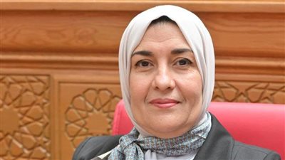 النائبة سناء أنور برغش تتقدم بطلب إحاطة بشأن وقف تسجيل المعاشات وتعطل خدمات التأمينات