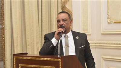 النائب أحمد حافظ يقترح منصة إلكترونية موحدة لتراخيص الأنشطة الصناعية لسرعة الإجراءات وزيادة الانتاج