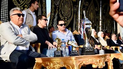 وزير الرياضة ومحافظ الدقهلية يشهدان نهائي دورة منشأة عبدالرحمن بدكرنس