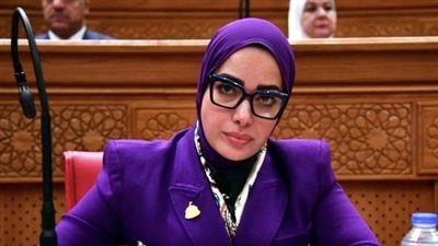 النائبة آية عبدالرحمن تتقدم بمشروع قانون لتغليظ عقوبات تزوير الكتب