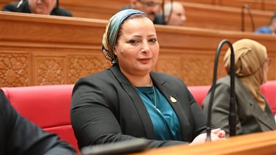 “حماية المنافسة ومنع الاحتكار” يساعد فى إنشاء بيئة استثمارية صحية