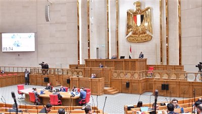 6 مطالب عاجلة لدعم فرص الاستثمار وتوفير فرص عمل للشباب بجنوب سيناء