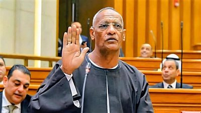 النائب مدحت ركابي يتقدم باقتراح برغبة بشأن استكمال أعمال تغطية ورصف الطريق البديل الرئيسي بقرية المنصورية في أسوان