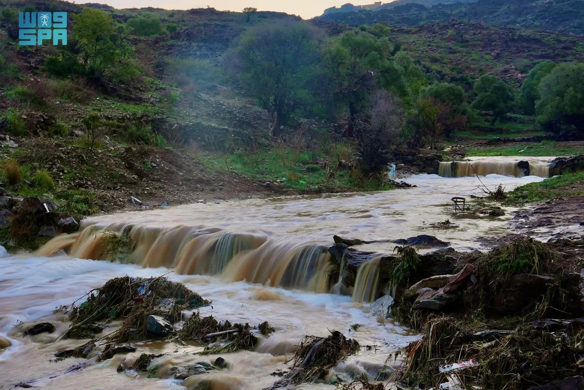 أمطار الربيع تُنعش منطقة الباحة وتستقطب المتنزهين — سبق