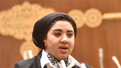 تعليم الشيوخ تناقش غدا اقتراح للنائبة أميرة صابر بشأن تعزيز آليات حماية الطلاب من الاعتداءات في المؤسسات التعليمية