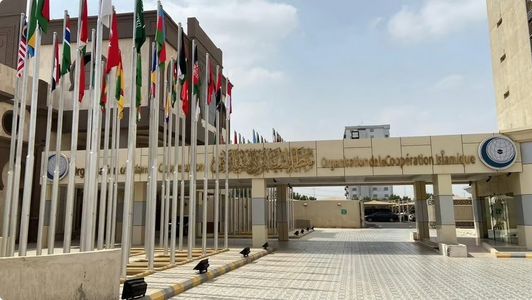 الأمين العام لمنظمة التعاون الإسلامي يدين العمليات العسكرية في مالي — سبق