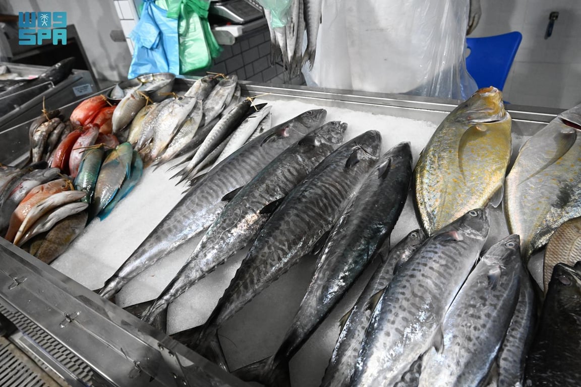 موسم الكنّة في جازان يعيد انتعاش الصيد ويدعم وفرة الأسماك والأسواق المحلية حتى نهاية يونيو