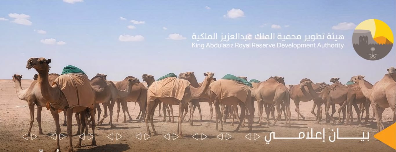 هيئة تطوير محمية الملك عبد العزيز تطلق آلية جديدة لتصاريح الرعي المستدام للمجتمع المحلي