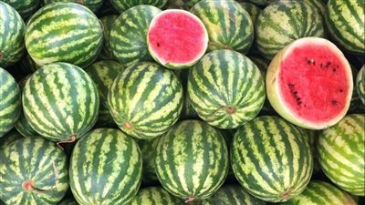 الزراعة: حركة إنتاج وضخ البطيخ بالأسواق تسير بصورة طبيعية وآمنة تمامًا