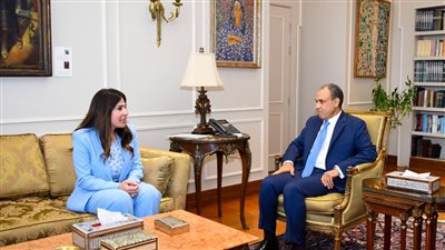 «رعاية المصريين بالخارج».. تفاصيل لقاء وزير الخارجية مع وزيرة الإسكان