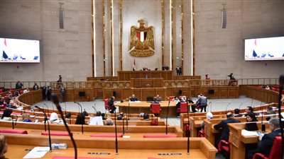 الأربعاء.. وزيرا المالية والتخطيط أمام البرلمان لعرض البيان المالي للموازنة الجديدة وملف التنمية الاقتصادية