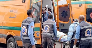 مصرع شخص صدمته سيارة ميكروباص على طريق شربين بالدقهلية