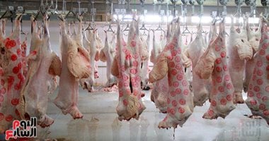 تعرف على نسبة تنفيذ مشروع تطوير مجزر ههيا الحكومي