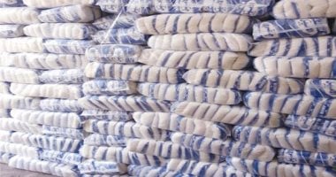 وزارة التموين: إنتاج 608 آلاف طن سكر محلى من القصب حتى الآن