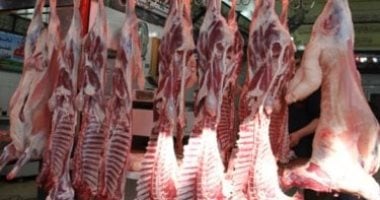 أسعار اللحوم اليوم الخميس 16-4-2026 بأسواق مطروح.. البلدي بـ 400 جنيه