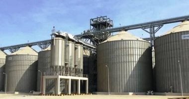 محافظ المنيا: شون وصوامع المحافظة تستقبل 19 ألف طن من القمح ضمن موسم توريد 2026