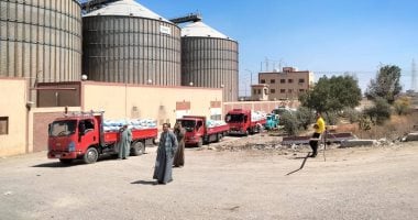 موسم واعد في الفيوم.. انطلاق حصاد القمح مبكرًا بالظهير الصحراوي.. زيادة المساحات المنزرعة 25 ألف فدان عن العام الماضي.. وتخصيص 13 موقعًا تخزينيًا لاستلام المحصول.. والمحافظ: الأمن الغذائي على رأس أولويات الدولة