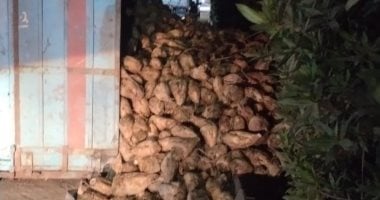 محافظ الدقهلية: رفع سيارة نقل محملة بالبنجر انقلبت بالطريق الدائري بالمنصورة