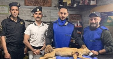 النجدة والطب البيطري ببورسعيد ينقذان حياة كلب ضال بعد تعرضه لحادث.. صور