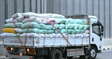 سنابل الخير ..توريد 1255 طن قمح لشون وصوامع البحيرة