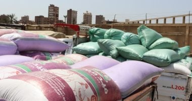 ” محصول القمح.. الذهب فى الصوامع”.. إقبال ملحوظ على التوريد منذ انطلاق موسم الحصاد.. عشرات المواقع التخزينية فى المحافظات لاستيعاب ملايين الأطنان.. رقابة صارمة وأجهزة لقياس نسبة الرطوبة والنقاوة.. صور