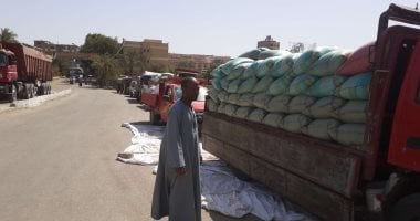 توريد 3560 طن قمح محلى للصوامع والشون بأسيوط واستمرار الموسم حتى 15 أغسطس