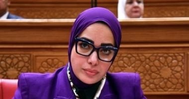 أية عبد الرحمن تتقدم بمشروع قانون لتغليظ عقوبات التعدى على الملكية الفكرية