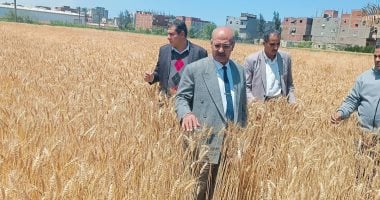 استعدادا لبدء موسم الحصاد.. وكيل زراعة دمياط يتفقد مراكز تجميع القمح
