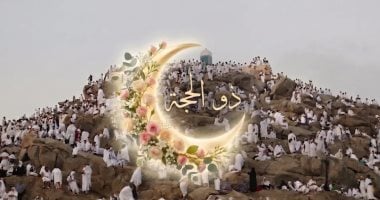 التضامن: التعاقد مع كبرى الشركات لنقل الحجاج خلال أداء مناسك الفريضة