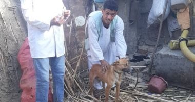 تحصين كلاب ضد السعار بحى شرق سوهاج ضمن خطة السيطرة على الحيوانات الضالة