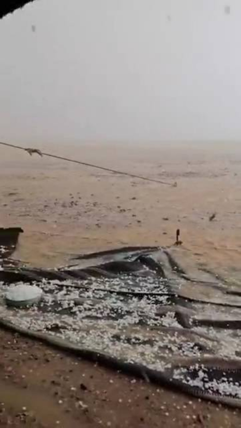 أمطار غزيرة وبَرَد شرق طريف