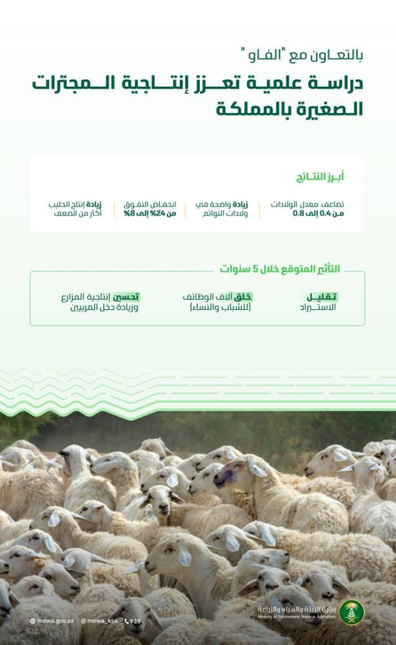 “البيئة”: دراسة علمية جديدة تعزز إنتاجية المجترات الصغيرة وتدعم الأمن الغذائي في المملكة
