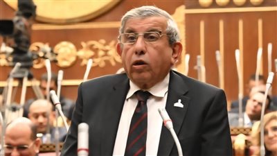 تحرك برلماني عاجل لوضع استراتيجية وطنية شاملة لمواجهة “البيدوفيليا” وحماية أطفال مصر