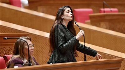 إيرين سعيد تؤكد ضرورة إنهاء الأزمة وإنشاء كوبري آمن