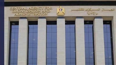 للعمل بالأوقاف.. التنظيم والإدارة يعلن فتح باب التقديم للتعاقد مع عدد 1864 إمام وخطيب ومدرس