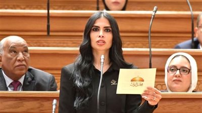 النائبة هايدي المغازي تطالب بإعادة النظر في نسب قبول أبناء المصريين بالخارج بالجامعات الحكومية