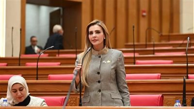 النائبة مروة بُريص تتقدم بطلب إحاطة بشأن تراجع كفاءة الاتصال بين الحكومة والبرلمان وتأخر الرد على طلبات النواب