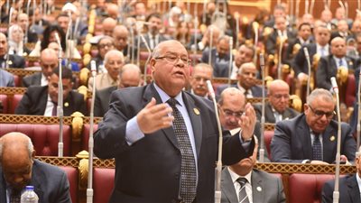 قرار منع السفر للممتنعين عن سداد النفقة نقلة نوعية لضمان تنفيذ الأحكام وحماية الأسرة المصرية